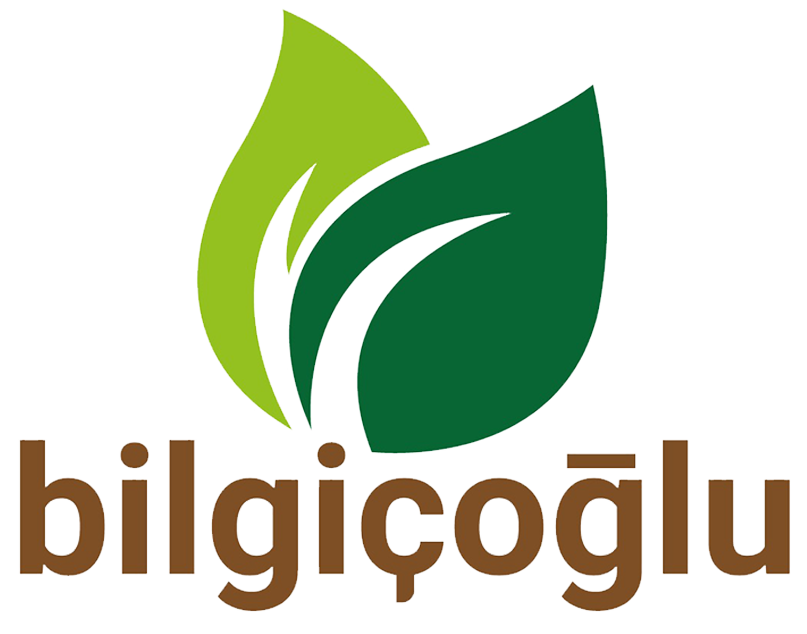 bilgiçoğlu